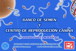 Banco de Semen FCM - Click para mas informacion