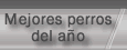 Mejores perros del a�o